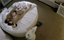 偷拍小夥帶著極品身材的少婦酒店開房啪啪啪