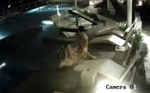 豪華度假村激情一刻 喝玩紅酒水中纏綿 各種姿勢連操好幾炮